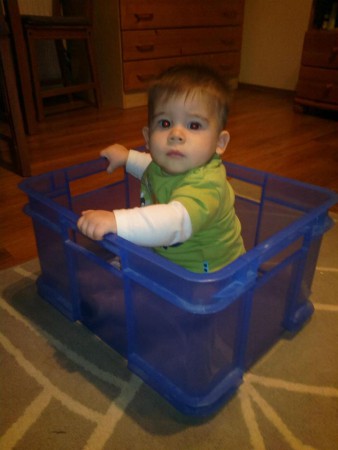 7 hónap tapasztalata